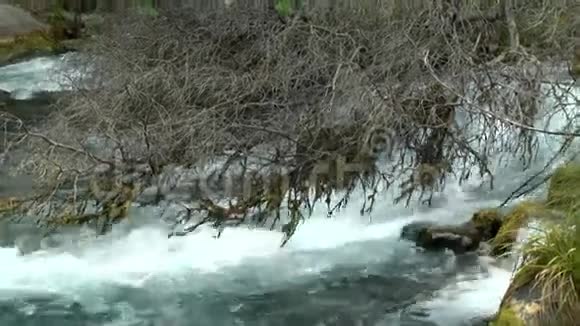 粗糙的河流视频的预览图