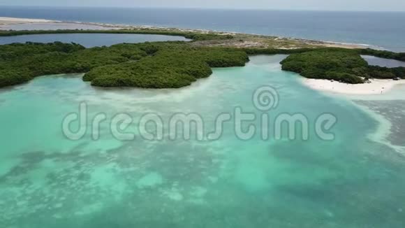海滨海岸博内尔岛加勒比海航空无人机顶景4KUHD视频视频的预览图