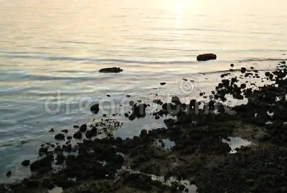 海上有石头的海浪视频的预览图