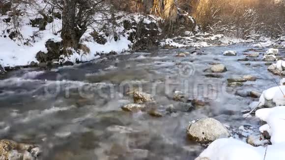 雪林中的河流视频的预览图