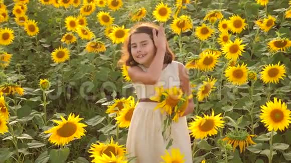 快乐的小女孩在向日葵领域的生活方式夏天向日葵上美丽的小女孩慢速视频视频的预览图
