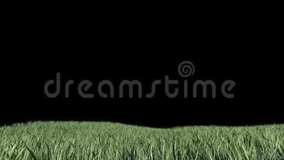 草地与阿尔法马特股票镜头视频的预览图