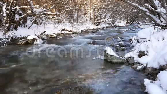 雪林中的河流视频的预览图