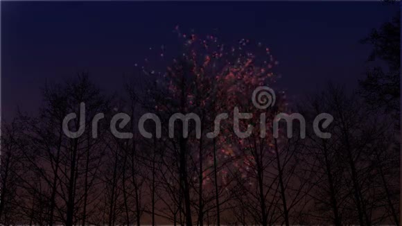 冬日树后的焰火视频的预览图