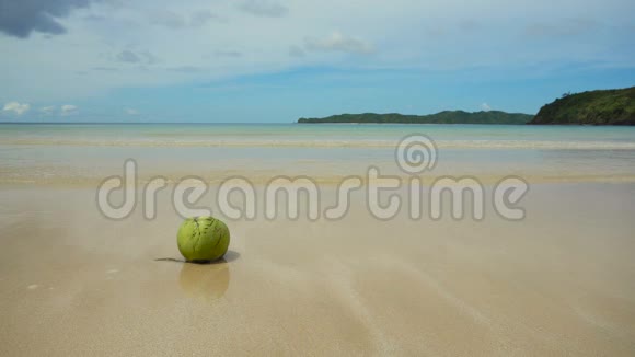沙滩上的绿椰子视频的预览图