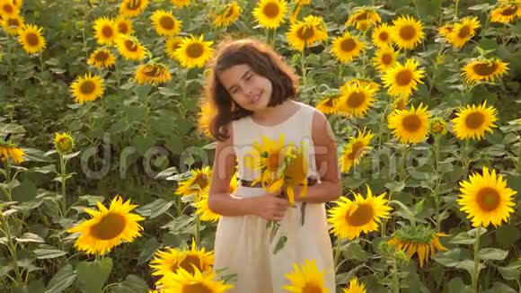 夏天向日葵田野上快乐的小女孩美丽的生活方式向日葵小女孩慢速视频视频的预览图