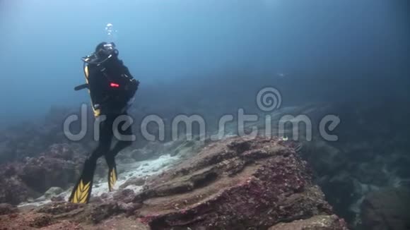 水下潜水者在海底背景下视频的预览图