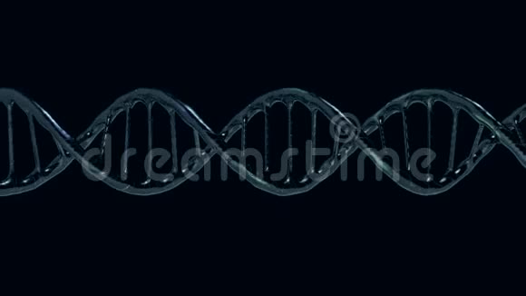 动画DNA链模型3D视频的预览图