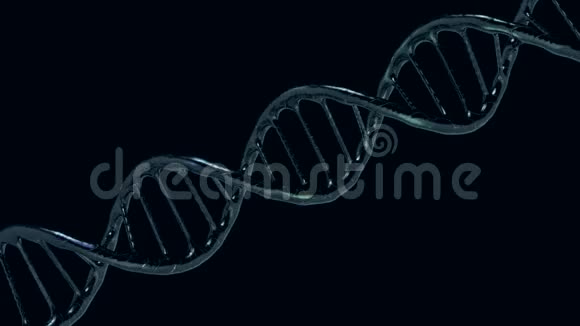 动画DNA链模型3D视频的预览图