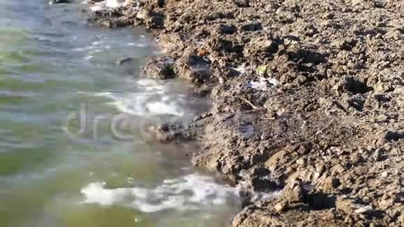 肮脏的废水流和环境污染视频的预览图