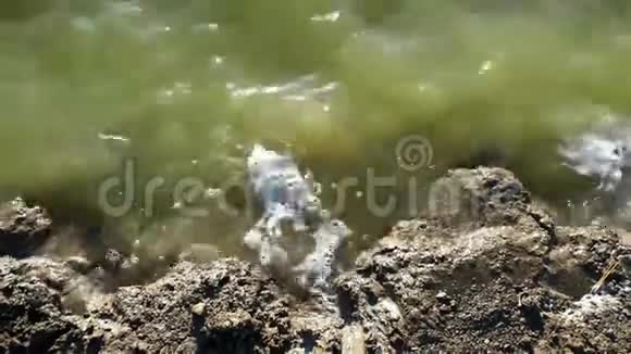 肮脏的废水流和环境污染视频的预览图