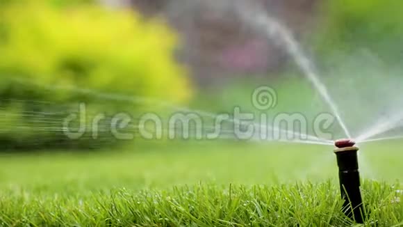自动喷水系统在绿草的背景下浇灌草坪视频的预览图