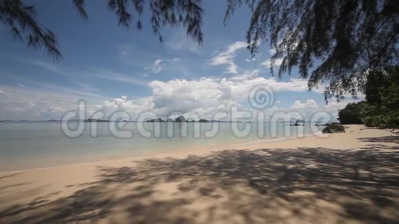 绿树成荫的沙滩视频的预览图
