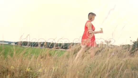 加上尺寸时尚模特在慢动作视频上行走的草地大自然的肥婆在田野里撒草花视频的预览图