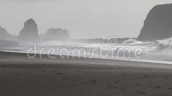 海洋山羊岩海滩索诺马县加利福尼亚州冬季视频的预览图