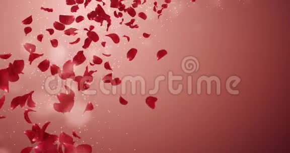 飞翔的浪漫红玫瑰花花瓣落座环4k视频的预览图