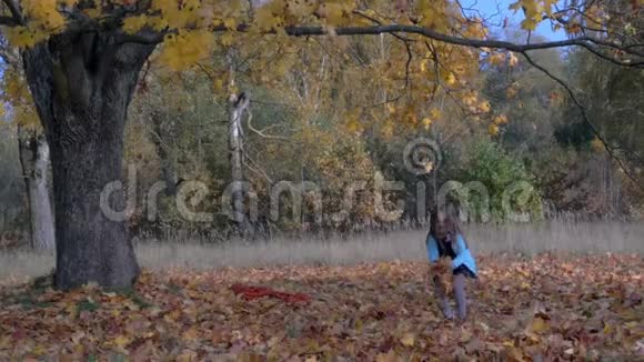 美丽的小女孩正在秋天的公园里玩耍视频的预览图
