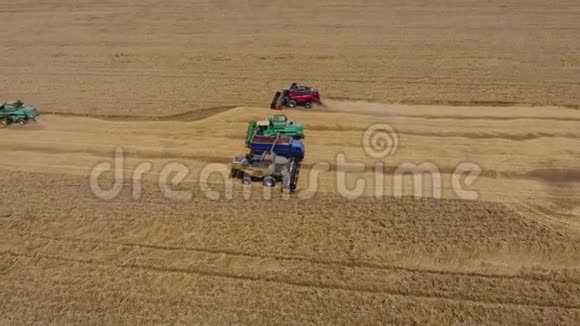 收割小麦收割机农业机械在田间收获粮食视频的预览图