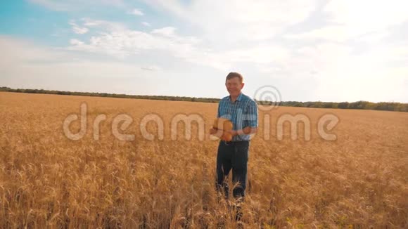 老农夫面包师拿着一个金色的生活方式面包和面包在麦田对抗蓝天慢速视频视频的预览图