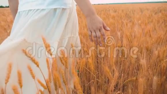 加上大小时尚模特在慢动作视频行走在田间小麦大自然中的肥婆草花视频的预览图