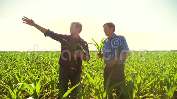 两个农夫穿过他的田地走向镜头康菲尔德慢镜头穿过他的视频的预览图