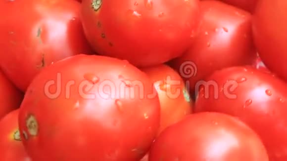 红色成熟的西红柿视频的预览图