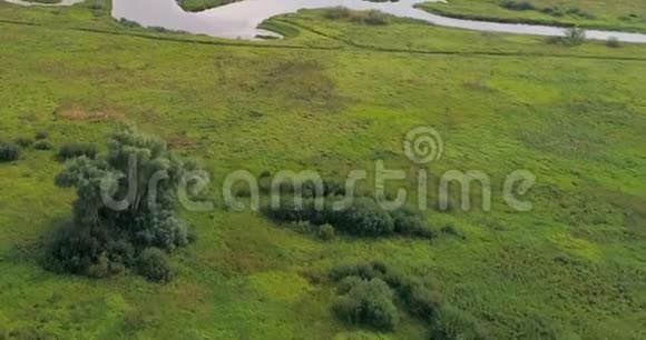 从森林上空的四架飞机弯曲的河航景图视频的预览图