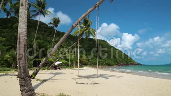 美丽岛屿海滩上的棕榈树视频的预览图