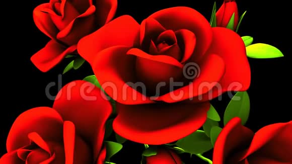 红色玫瑰花束在黑色背景上视频的预览图