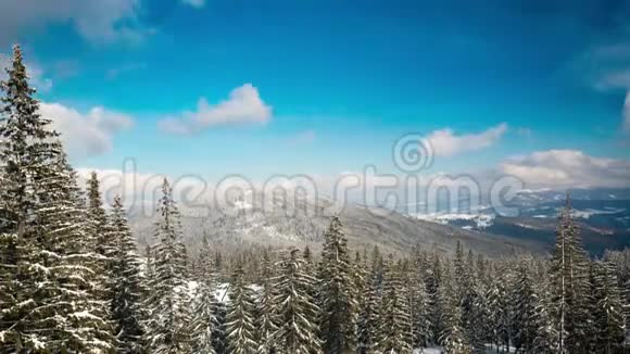 美丽的山日多云的冬冷杉视频的预览图