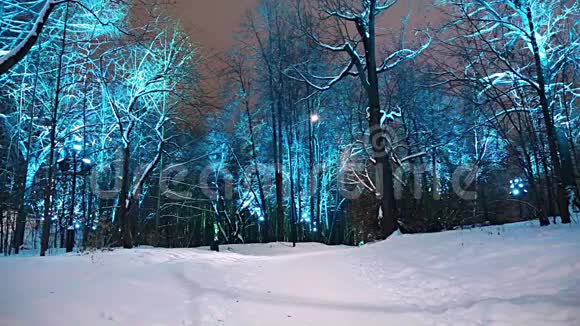 俄罗斯莫斯科圣诞新年装饰麻雀山视频的预览图