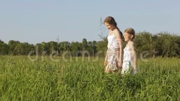 两个快乐的孩子在田里玩耍视频的预览图