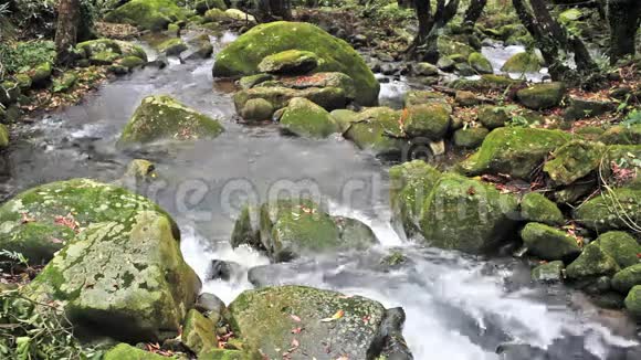 不错的流动山涧视频的预览图