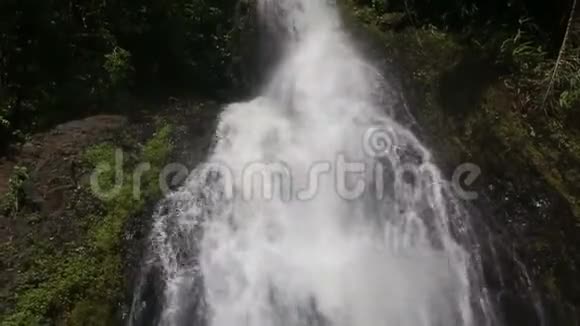 热带丛林中的瀑布视频的预览图