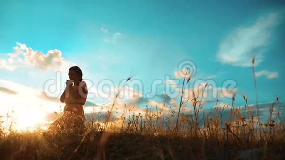 女孩在日落时双手交叉祈祷剪影女人跪着祈祷生活方式慢动作视频女孩视频的预览图
