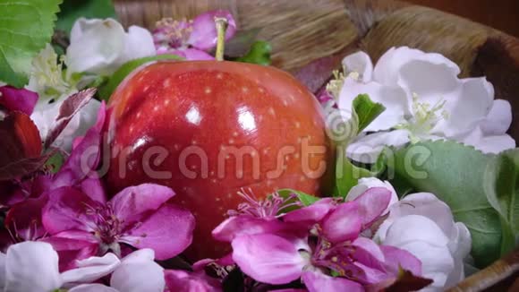 成熟的红苹果和深红色的苹果树花视频的预览图