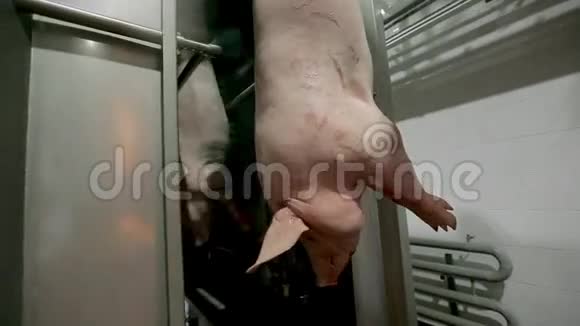 挂猪肉卡蜜视频的预览图