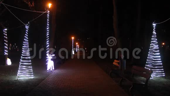 公园晚上的圣诞灯视频的预览图
