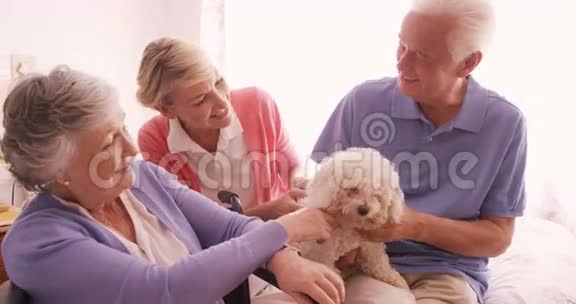 幸福的家庭宠爱一只狗视频的预览图