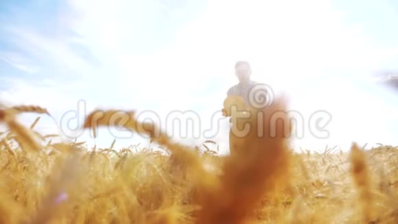 老农夫面包师拿着一个金色的面包和面包在成熟的麦田对抗蓝天慢速视频视频的预览图