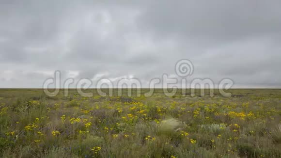 波普克角克里米亚半岛草原部分的春季云的运动视频的预览图