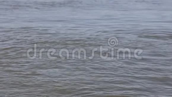 深蓝的湖水波浪视频的预览图