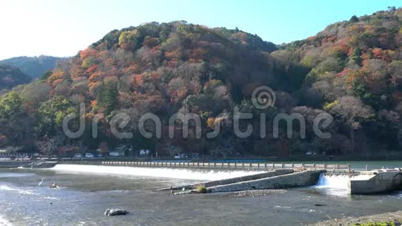 美丽的秋天颜色和TogetuKyo桥视频的预览图