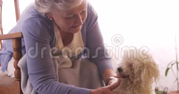 年长的女人抚摸一只狗视频的预览图
