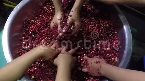 宾尼安蒂德斯马布尼乌斯家庭葡萄酒加工手工粉碎水果视频的预览图