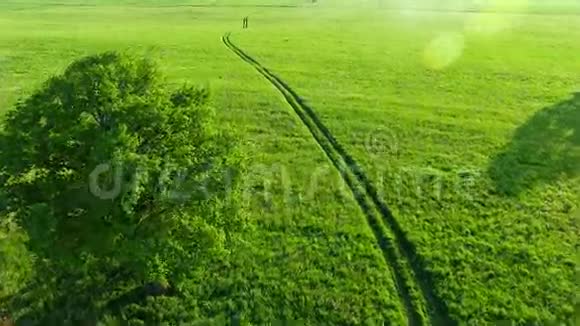 田野道路的鸟瞰图视频的预览图