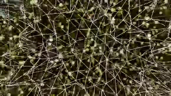 抽象网络连接背景视频的预览图