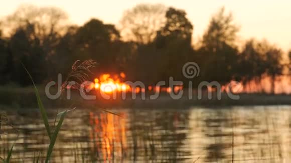 湖上美丽的日落视频的预览图