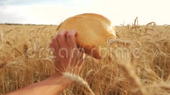 人类在麦田里拿着面包慢动作视频生活方式成功的农民在小麦领域收获时间视频的预览图