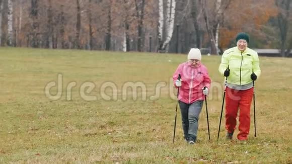 秋天公园里有两位老妇人在秋天寒冷的公园里行走视频的预览图